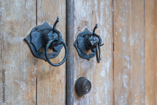 Classic brass door handle or doorknobs elephant head on the old wooden door.
