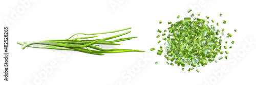 Onion leaves and chopped green chive isolated on white background. Vector realistic set of 3d fresh verdure bunch and pile of cut pieces of green garlic or scallion