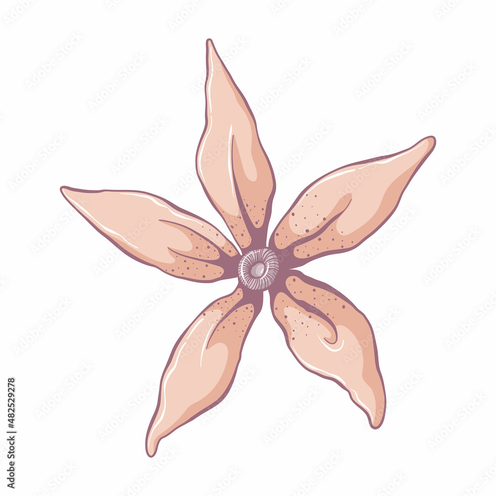 Single yellow flower. Flower head isolated on white background. Hand drawn floral illustration. Botanical vector art in cartoon style. Single yellow flower. Flower head isolated on white background. Hand drawn floral illustration. Botanical vector art in cartoon style.