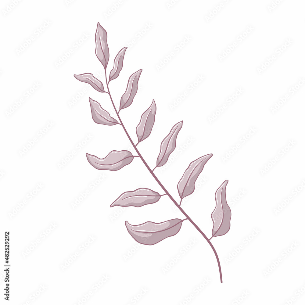 Single grey branch with leaves. Leaves isolated on white background. Hand drawn botanic illustration. Botanical vector art in cartoon style.