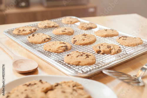 Fényképezés Chocolate chip cookies on cooling rack on baking sheet in bright kitchen