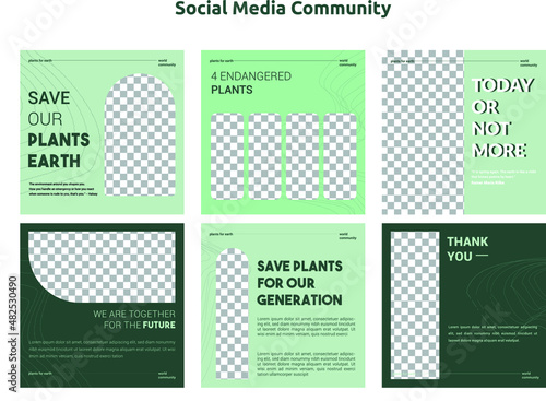 Instagram feed For organization, simple, background social media community, brand, green color, trendy