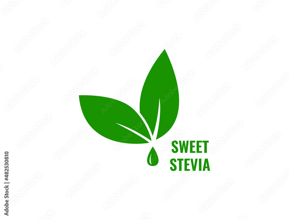 sweet stevia extraction icon vector illustration sweet stevia extraction icon vector illustration