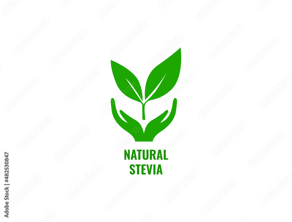 Fototapeta premium natural stevia icon vector illustration 
