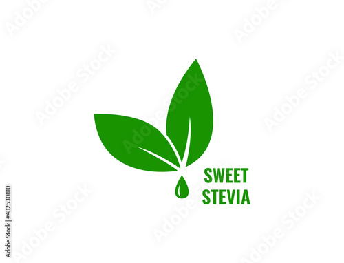 sweet stevia extraction icon vector illustration 