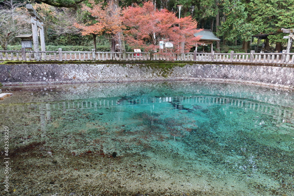  Benten-ike Pond and its famed mineral water in the precincts of Beppu-itsukushima-jinjya in Mine City in Yamaguchi Prefecture in Japan　日本の山口県美祢市にある別府厳島神社の境内にある弁天池
