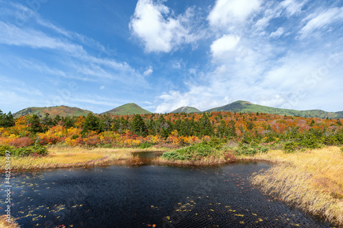 【青森県八甲田山】紅葉に映える睡蓮沼と北八甲田連峰。八甲田は日本有数の紅葉スポットと言われる。