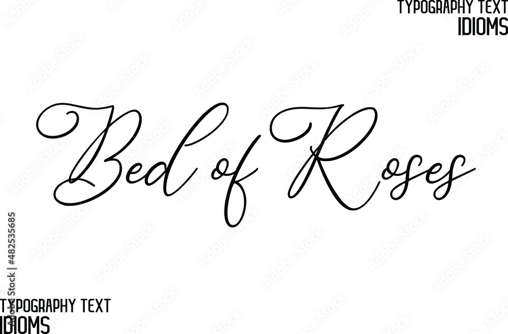 Bed of Roses Cursive Lettering Typography Lettering idiom Stock Vector