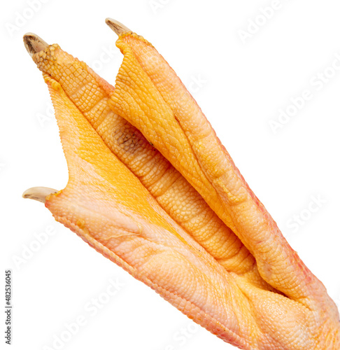Goose paw isolated on a white background.
