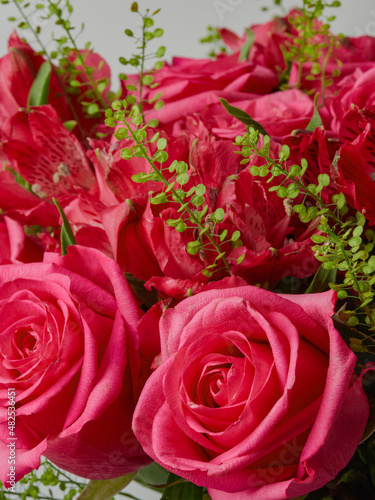 bouquet of blooming dark red roses on a white background