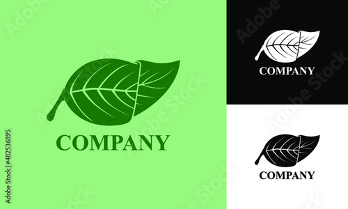 leaf logo vector