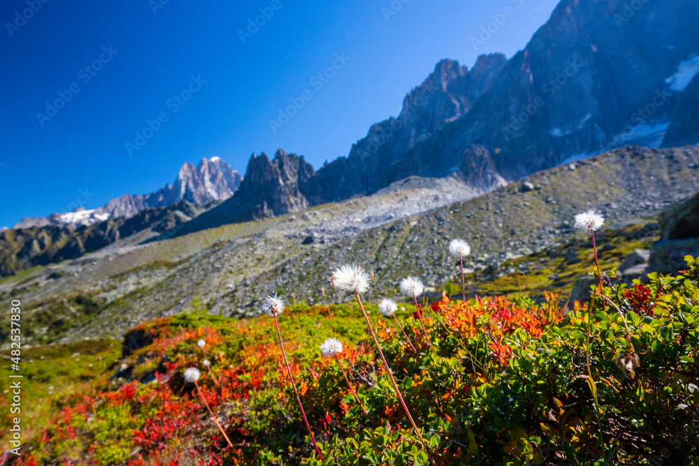Beautiful summer scenery in the French Alps, with snow covered peaks