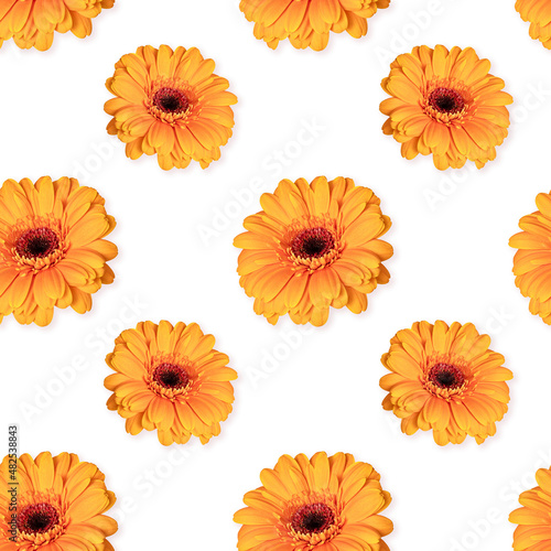 Seamless pattern with flowers on a white background. Gerbera orange © svetlanass13