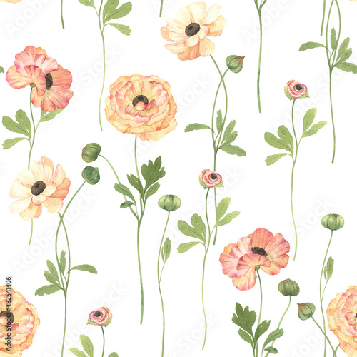 Obraz na plátně Floral seamless pattern with delicate flowers ranunculus on white background, watercolor illustration for textile or wallpapers