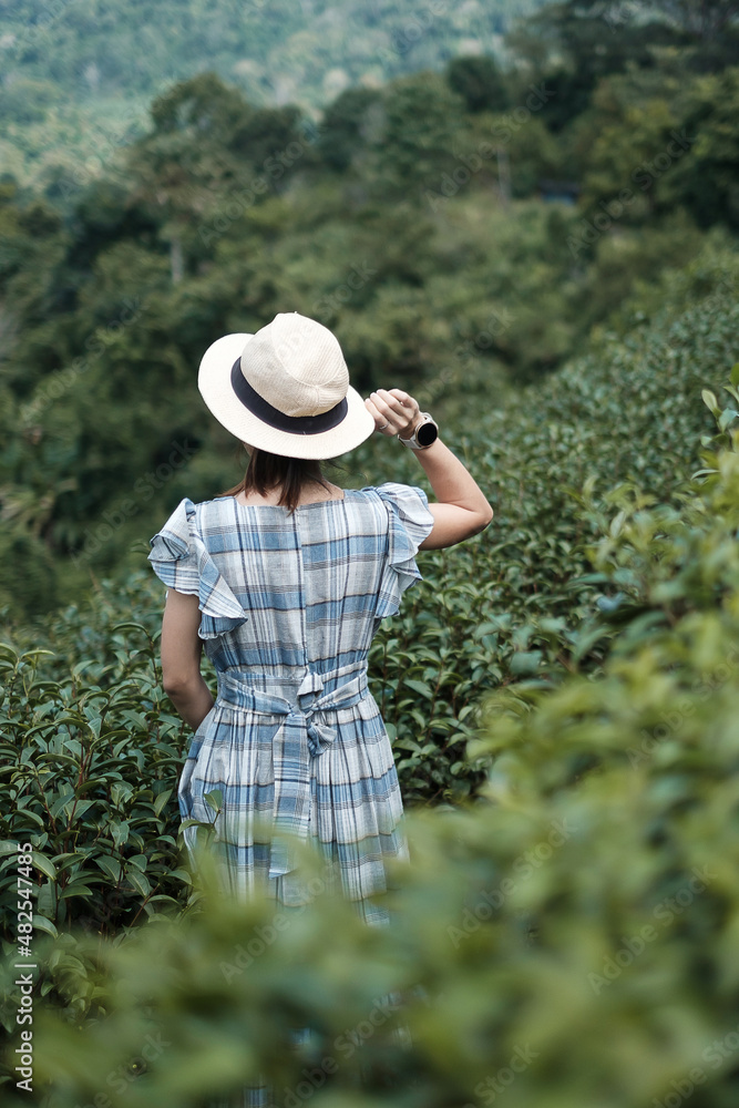 Happy woman tourist in blue dress and hat enjoy beautiful Tea garden.Traveler visiting in green natural hills in morning. travel, vacation, trip and journey concept