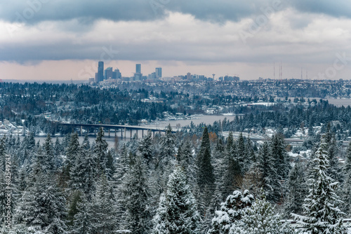 Seattle Snow Covered Trees