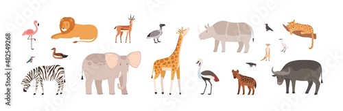 African animals, birds set. Wild jungle fauna. Cute tropical giraffe, elephant, buffalo, lion, flamingo, rhino and zebra from Africa savanna. Flat vector illustration isolated on white background
