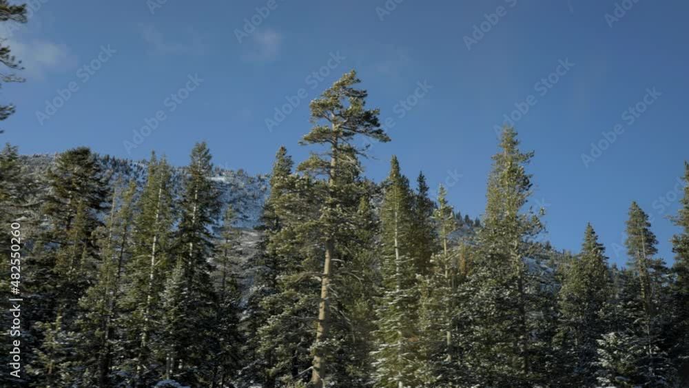 Passenger side POV while driving through Lake Tahoe landscape on a pretty winter day. Passenger side POV while driving through Lake Tahoe landscape on a pretty winter day.