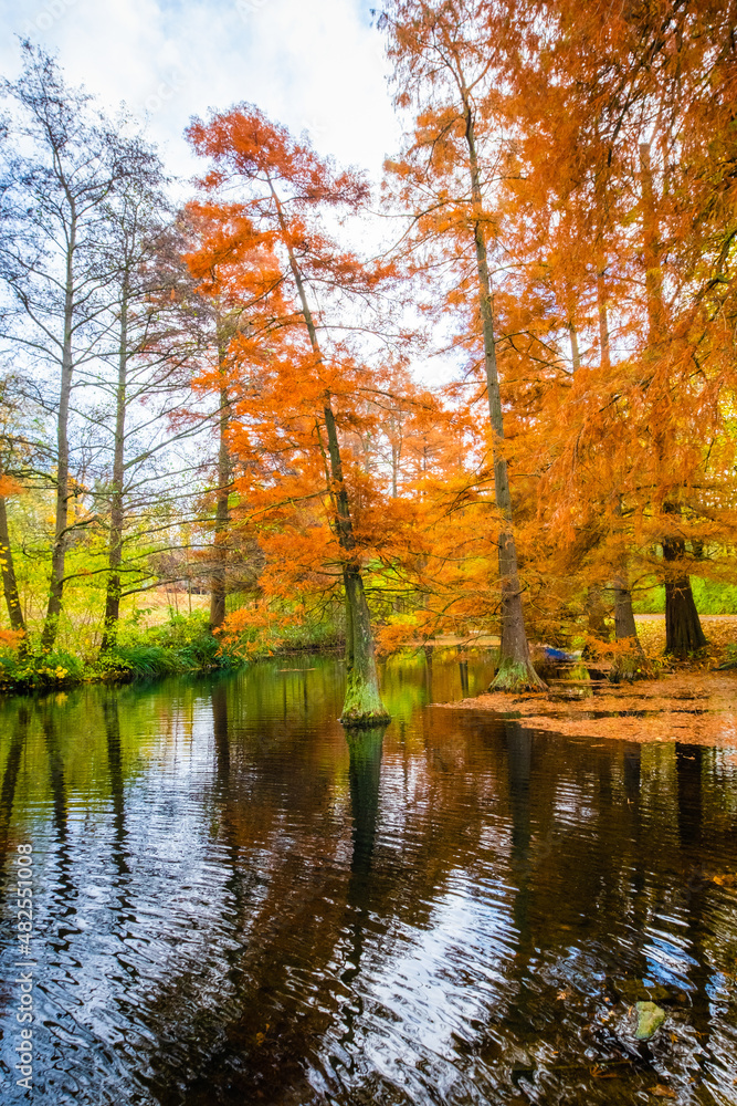Autumn in park Autumn in park