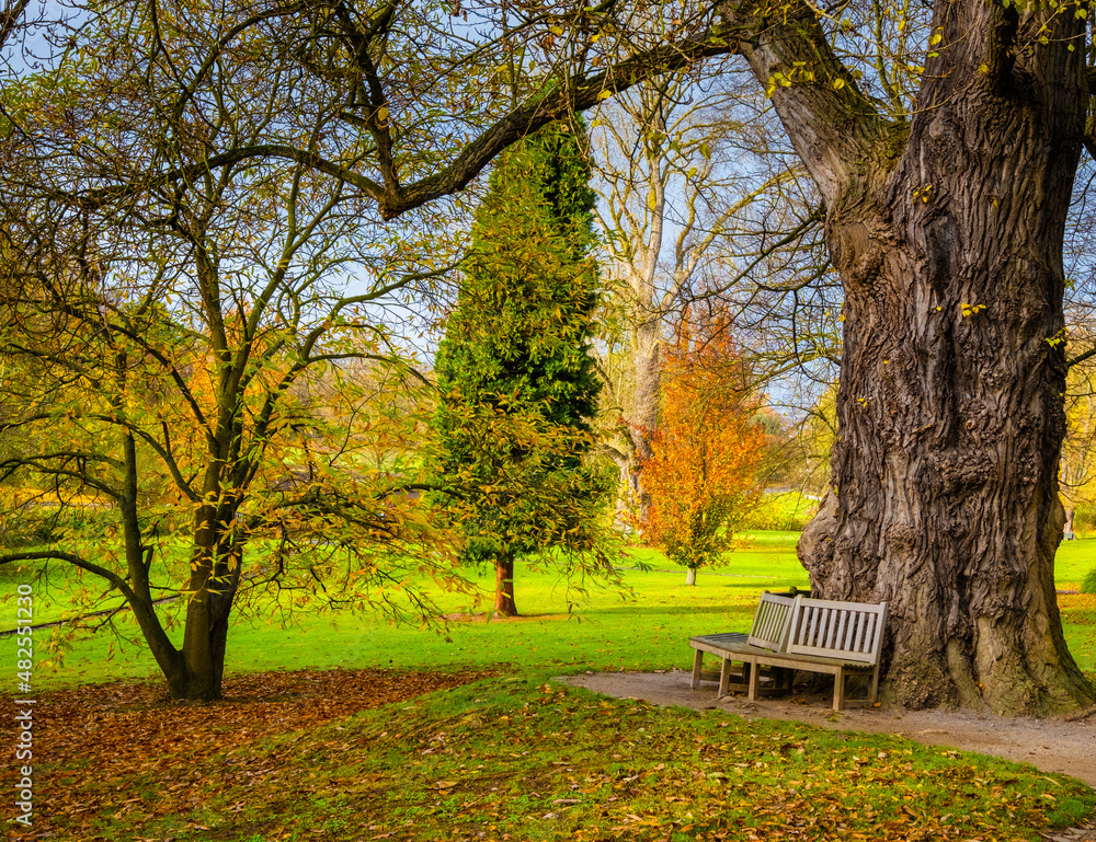 Autumn in park