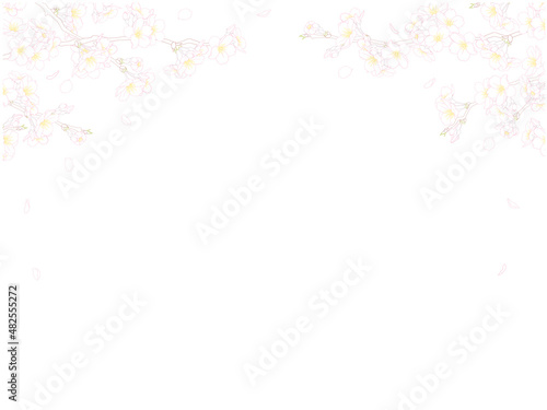 さくら線画のフレーム②カラー_上部