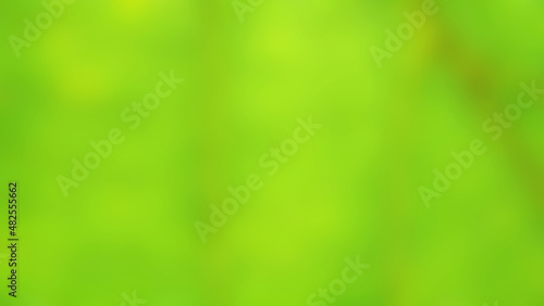 Green simple gradient background. Blured background illustration with space for your text or images 
