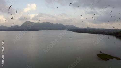 Scenic View Of Birds Flying On Misty Morning In Vaitarna Lake, Trimbakeshwar, Nashik, Maharashtra India. Aerial Wide photo