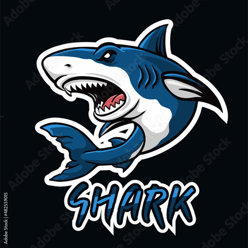 Cartoon shark mascot template design #482559015