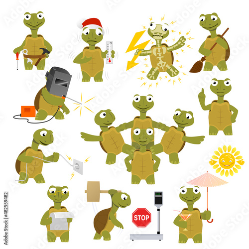Cartoon turtle in various poses