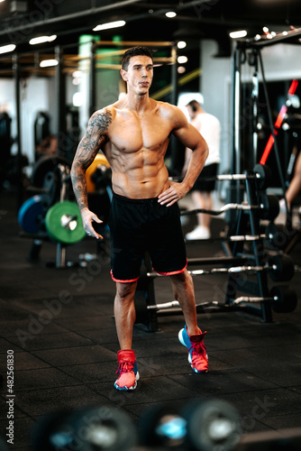 Muscular man posing perfect body at gym. Portrait of professional athlete working out