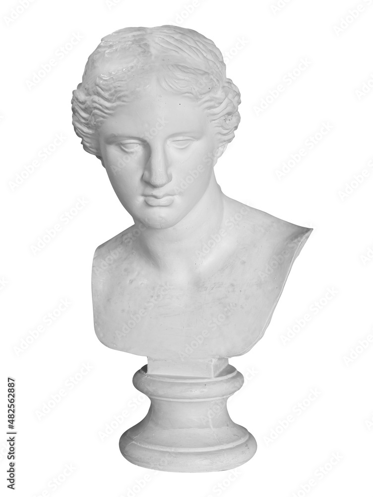 Gypsum copy of ancient statue Venus head isolated on white background. Plaster sculpture woman face Gypsum copy of ancient statue Venus head isolated on white background. Plaster sculpture woman face