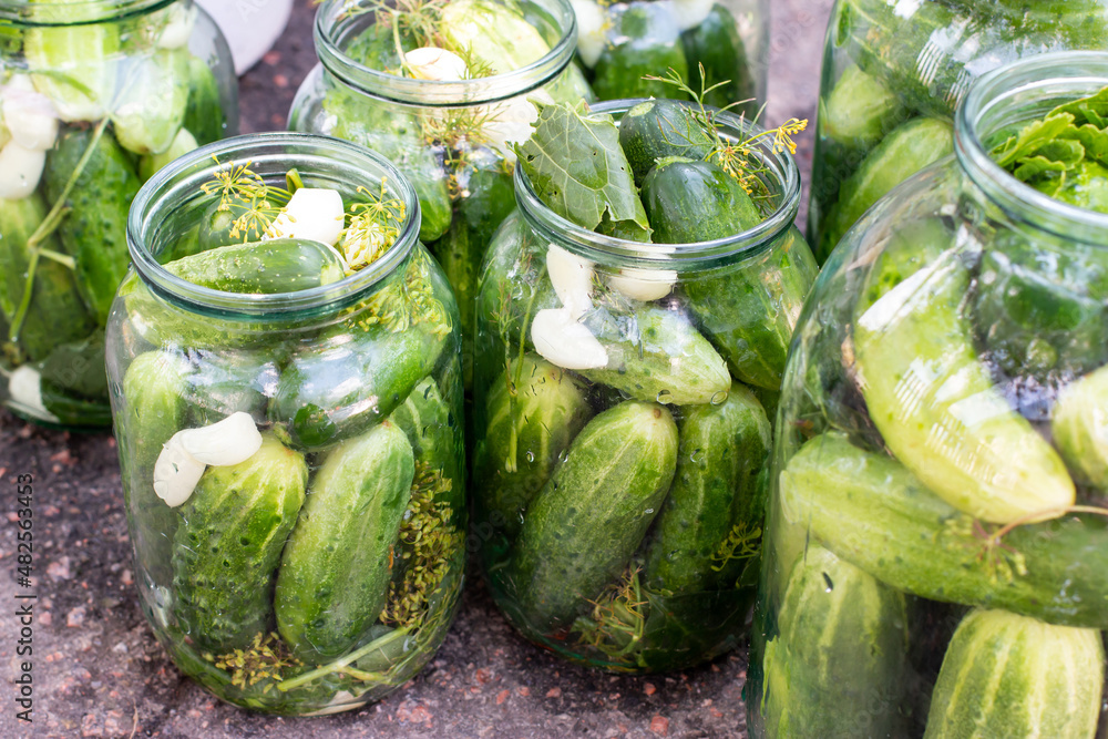 Preparation of canned cucumbers or fermented cucumbers in glass jars. Ingredients for pickling cucumbers. Cucumbers, dill, garlic. Glass jars with pickles. Preparation of canned cucumbers or fermented cucumbers in glass jars. Ingredients for pickling cucumbers. Cucumbers, dill, garlic. Glass jars with pickles.