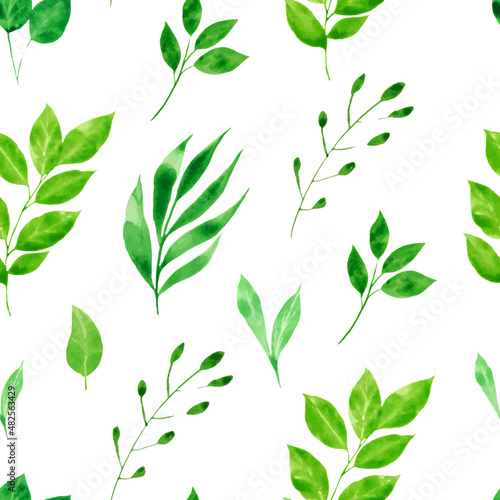 Watercolor greenery. Seamless pattern with Green leaves and branch on white © liliia_sinhina