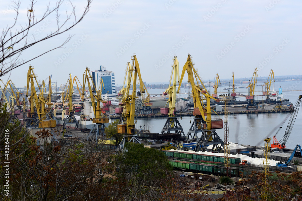 Against the backdrop of the sea, high cargo cranes standing in the port are visible.