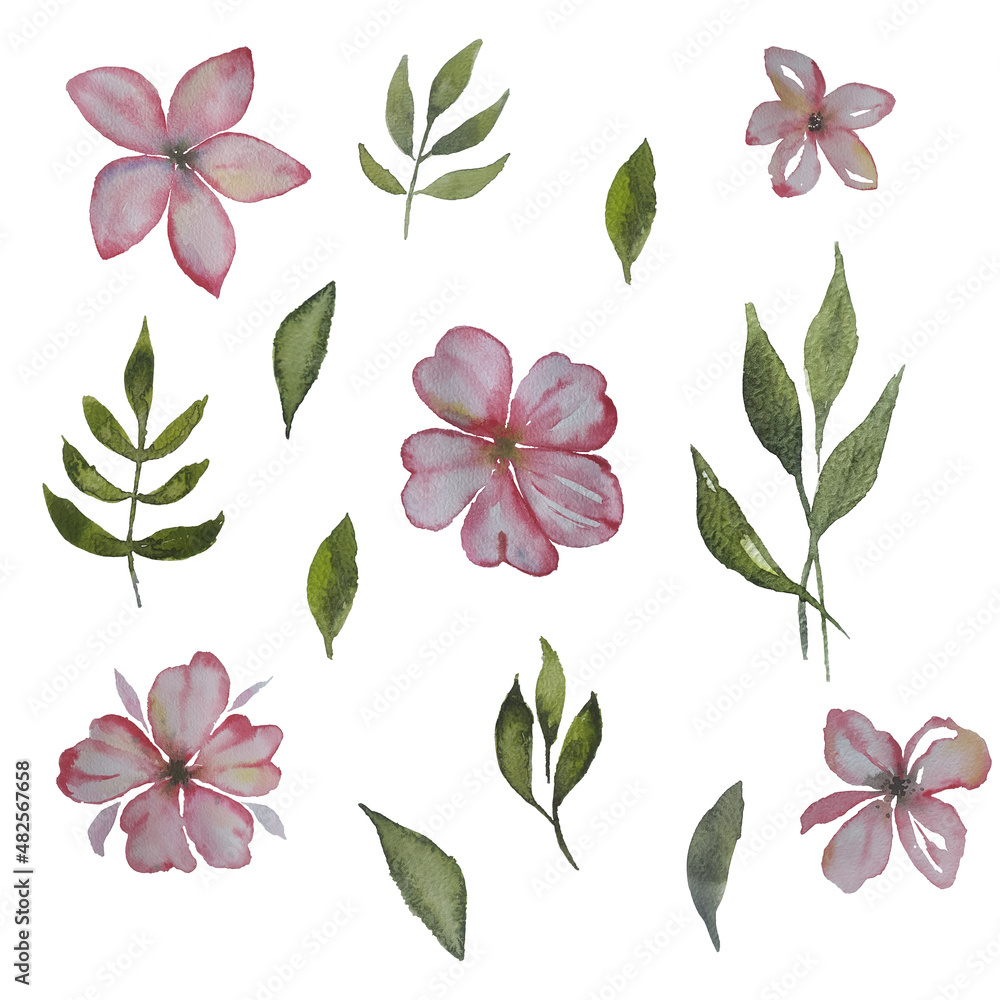 Spring, watercolor flowers, pink Spring, watercolor flowers, pink