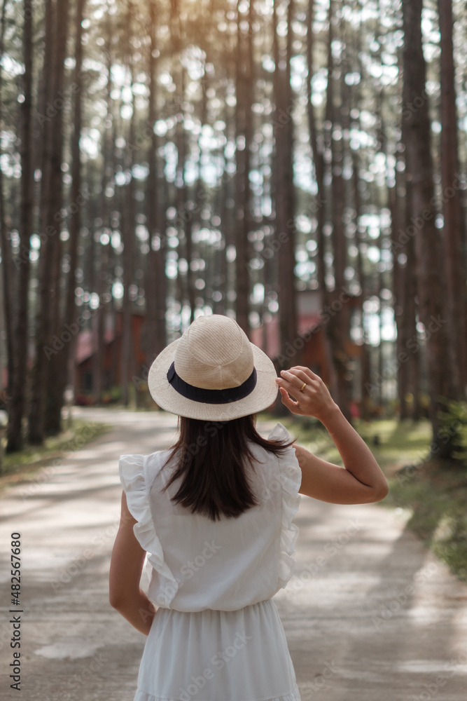 Happy woman in white dress and hat traveling in pine tree forest, tourist visit at Doi Bo Luang, Chiang Mai, Thailand, Landmark and popular for tourist attractions. Vacation and journey concept