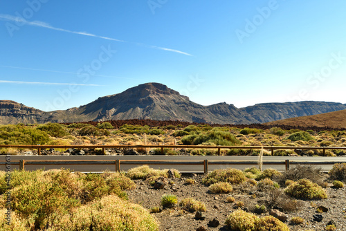 Road Texas plain, desert mountains and cactus