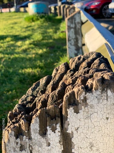 Old wooden pile texture. 