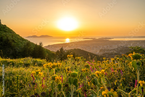 Orange sunset over the Sea of adriatic, with flower-covered hill slope in the foreground. Albania