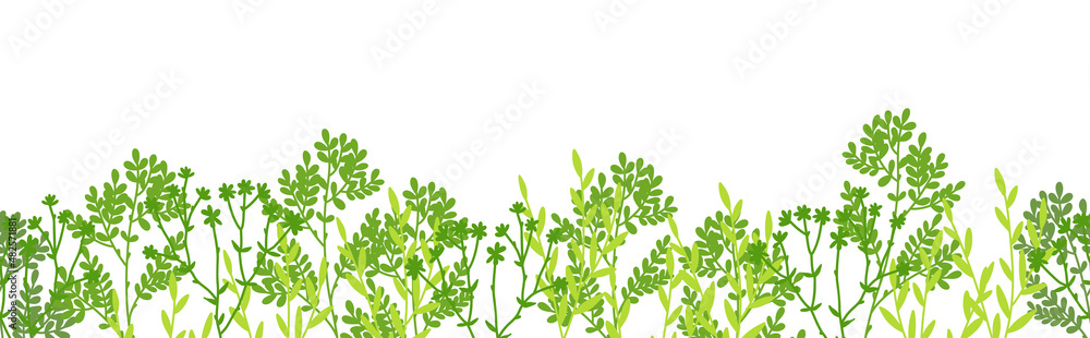 Meadow border with green grass. Herbal background. Vector illustration isolated on white background