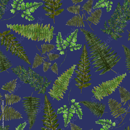 Watercolor seamless pattern with fern leaves. Foliage decoration. Vintage botanical exotic illustration wallpaper. 