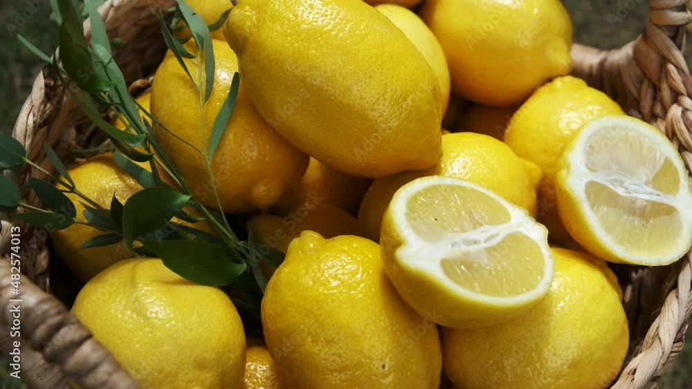 Wooden box filled to the top with ripe yellow lemons, close-up. Lemons completely filled the basket. Concept of farming
Wooden box filled to the top with ripe yellow lemons, close-up. Lemons completely filled the basket. Concept of farming