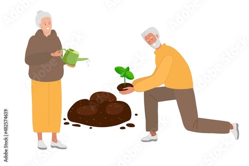 Senior people plant sprout. Man going to put sprout in ground, woman standing with awatering can. Gardening, growing flowers hobby Cartoon flat vector illustration. Agricultural work.