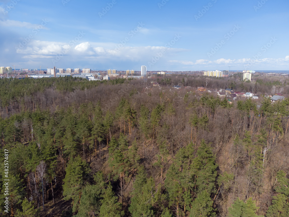 Section of the forest on town outskirts, aerial view Section of the forest on town outskirts, aerial view