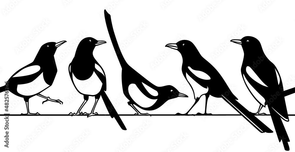 Vector horizontal seamless pattern with hand drawn cute Magpies sitting on a wire. Ink drawing, graphic style. Beautiful animal design elements. Perfect for prints and patterns - obrazy, fototapety, plakaty 