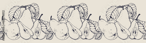 Vector horizontal seamless border with hand darwn pears. Eps 10 fruits backdrop.  Line-art botanical illustration