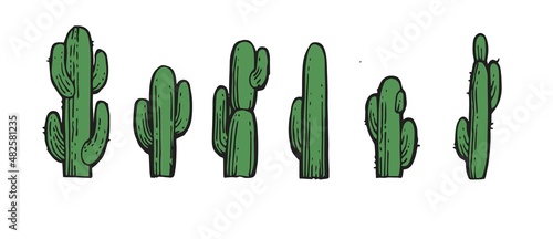 Set of green prickly cactus. An exotic southern plant from the desert. Outline sketch. Hand drawing is isolated on a white background. Vector