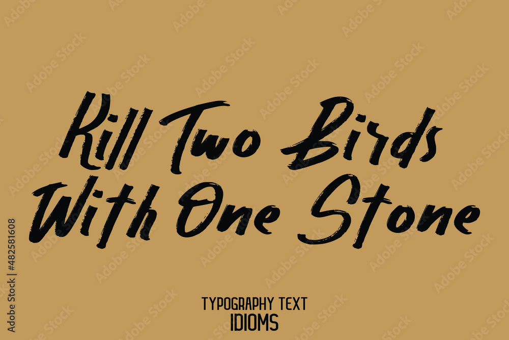 Kill Two Birds with One Stone idiom in Bold Text Calligraphy Phrase on Brown Background Kill Two Birds with One Stone idiom in Bold Text Calligraphy Phrase on Brown Background