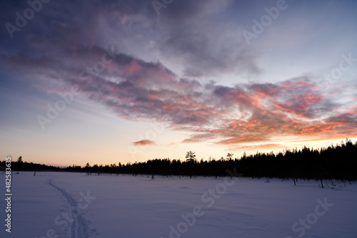 Sunset in the Swedish forest in the middle of winter. It is cold and snow but the cross country skiing is great.