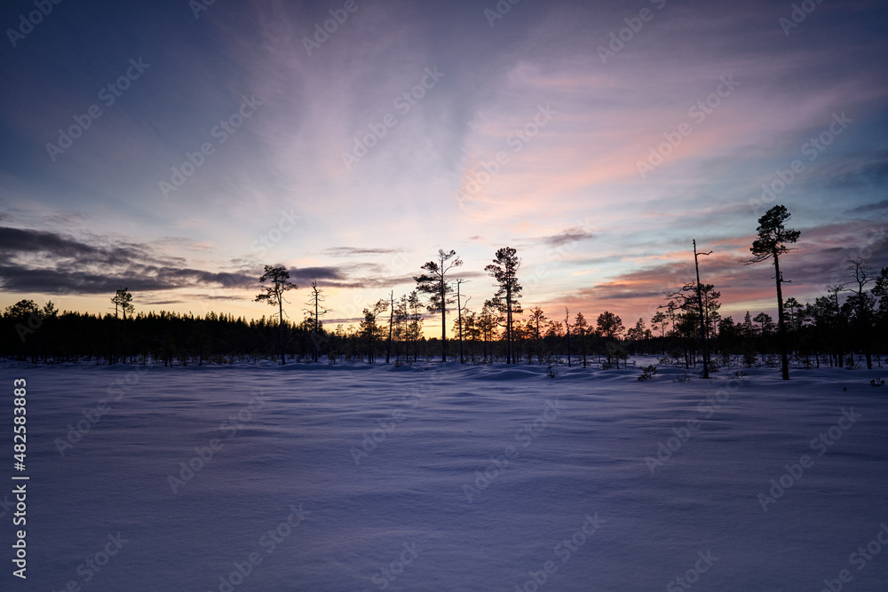 Sunset in the Swedish forest in the middle of winter.  It is cold and snow but the cross country skiing is great.